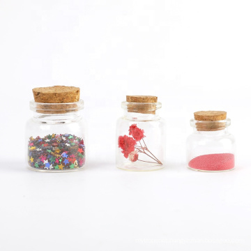 10 Pcs Mini Tiny Clear Glass Jars Bottles Glass Bottles with Cork and Jute Rope for DIY Decor